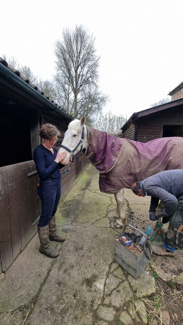 Finding the Perfect Farrier: A Horse Owner's Guide