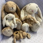 Bunny Cuddly Toy - Gallop Guru