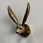 Hare Head Wall Hook - Gallop Guru