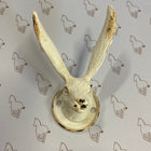 Hare Head Wall Hook - Gallop Guru