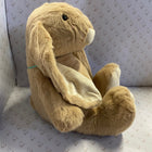 Large Bunny Cuddly Toy - Gallop Guru