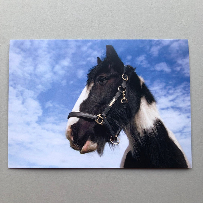 "A Gift Horse" Equestrian Greeting Card - Gallop Guru
