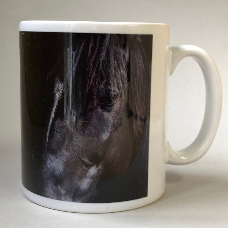 A Kind Eye Equestrian Designed Mug - Gallop Guru