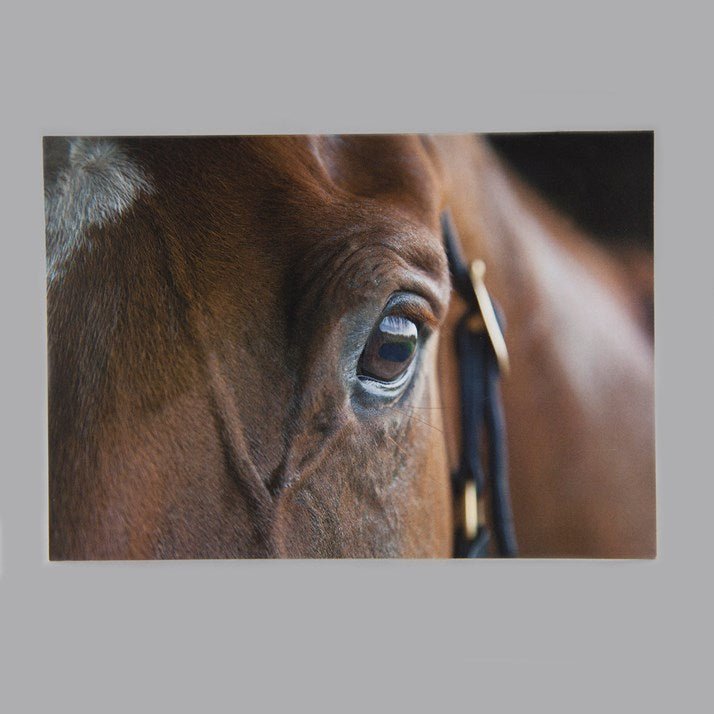 'A Kind Eye' Horse Design Greeting Card - Gallop Guru