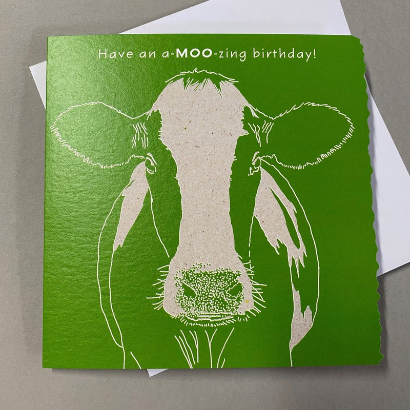 Amusing Cow Birthday Card - Gallop Guru