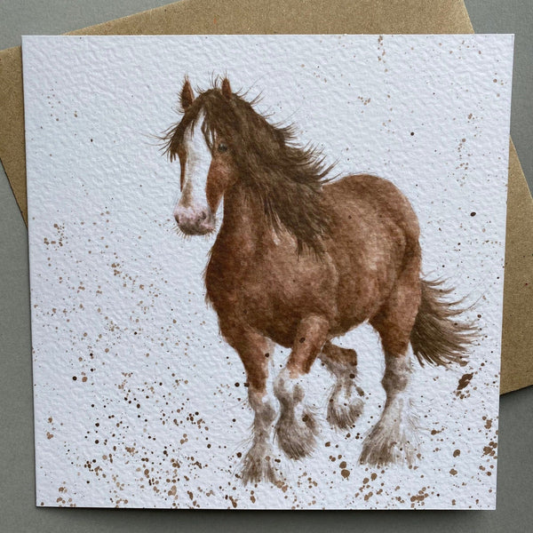 "Feathers" Horse  Greeting Card 