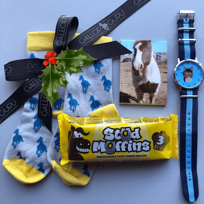 Festive 'The Pony Boy' Gift Box - Gallop Guru