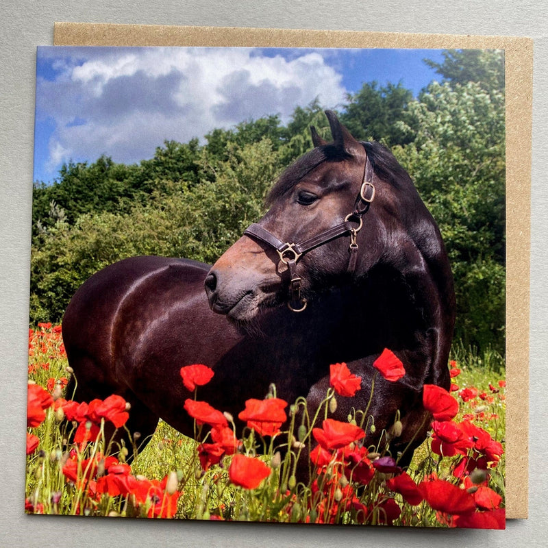 "Horse and Poppies" Equestrian Greeting Card - Gallop Guru
