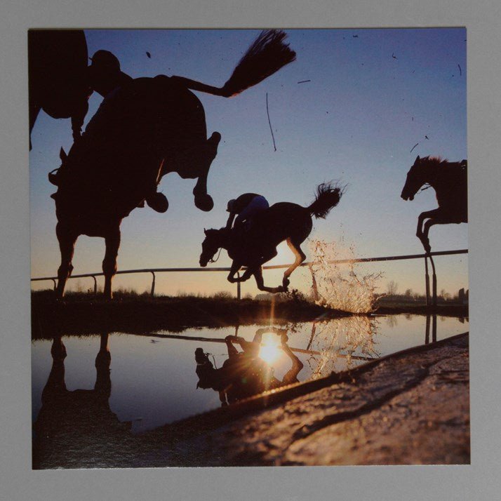 Horses Jumping Greeting Card - Gallop Guru