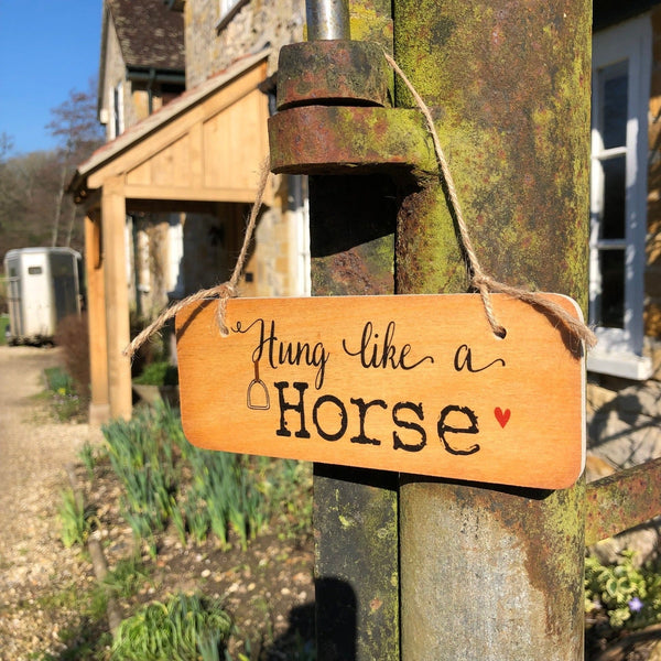 'Hung Like A Horse' Wooden Hanging Sign - Gallop Guru