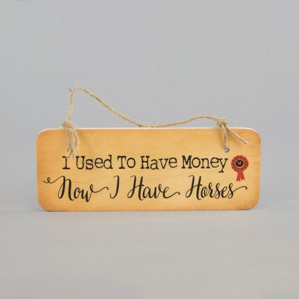 'I Used To Have Money...' Wooden Hanging Sign - Gallop Guru