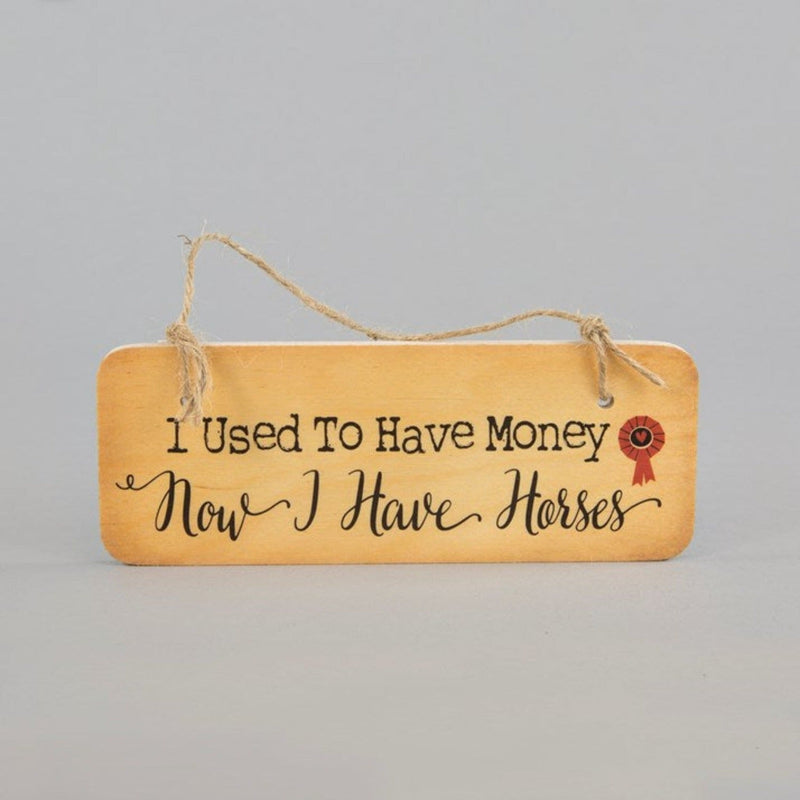 'I Used To Have Money...' Wooden Hanging Sign - Gallop Guru