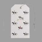 'Little Equestrian' Gift Box - Gallop Guru