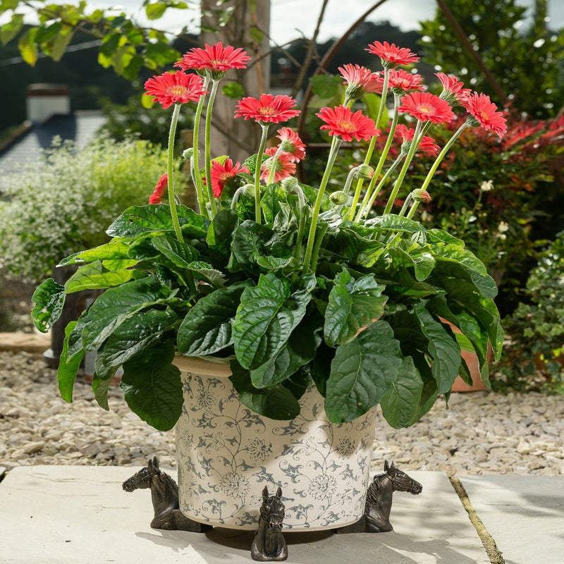 horse plant pot Set of Three Sitting Horse Potty Feet | Equestrian Gifts