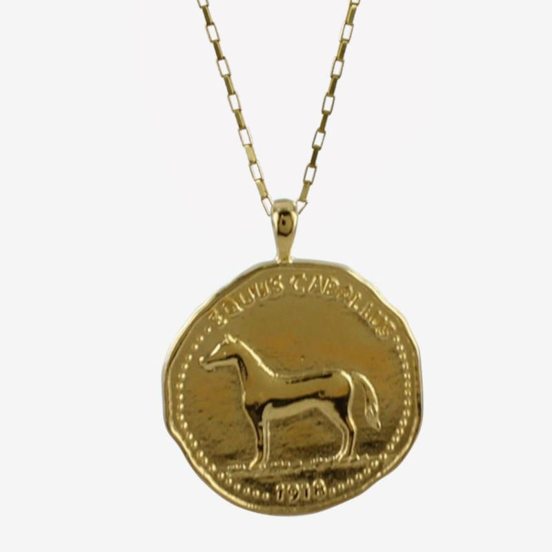 Sterling Silver and 18ct Gold Plate 'Equus Caballus' Horse Coin Necklace - Gallop Guru