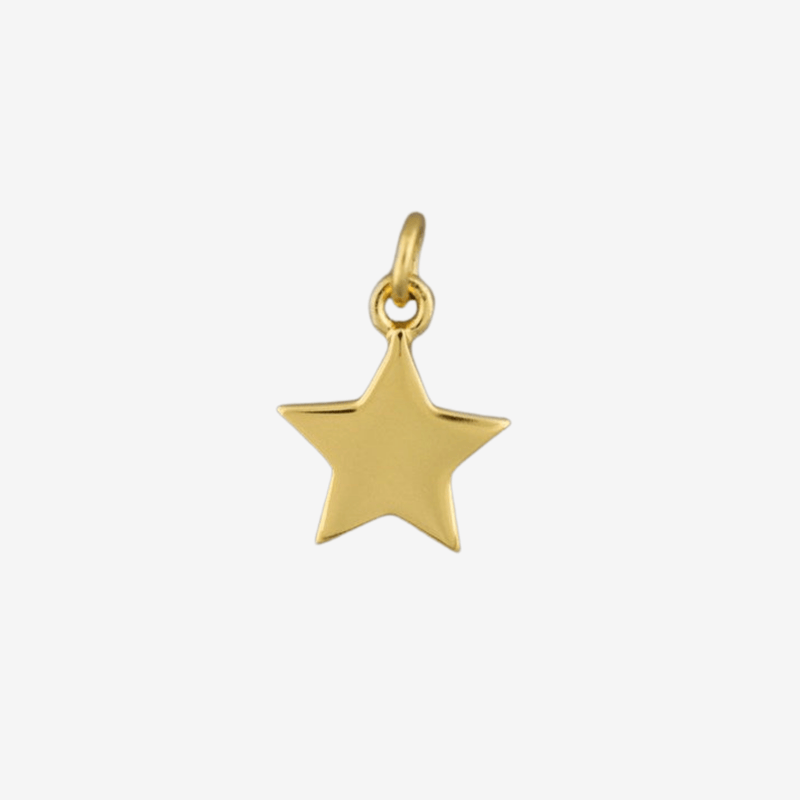 Sterling Silver and 9ct Yellow Gold Plated Star Charm - Gallop Guru