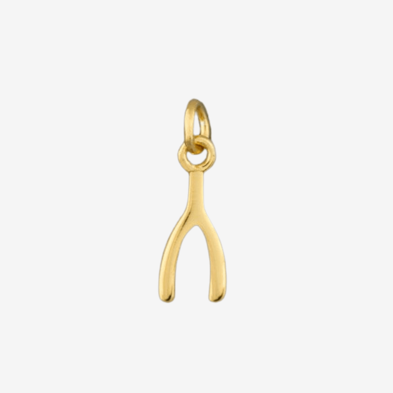 Sterling Silver and Gold Plated Wishbone Charm - Gallop Guru