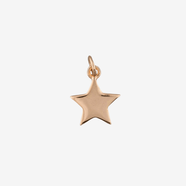 Sterling Silver and Rose Gold Plated Star Charm - Gallop Guru