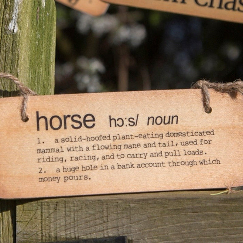 'The Definition of a Horse' Hanging Wooden Sign - Gallop Guru