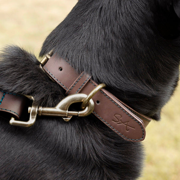 Woof Leather Dog Collar by Sophie Allport - Gallop Guru